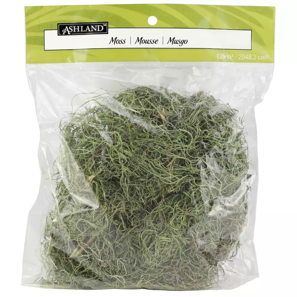 Best deal ๐ Ashland® Spanish Moss—Basil Green โ๏ธ 6 Best deal ๐ Ashland® Spanish Moss—Basil Green โ๏ธ - Image 4