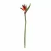 Buy ⭐ Tropical Bird of Paradise Stem by Ashland® 👍 -Ashland Online Store 10390624 21