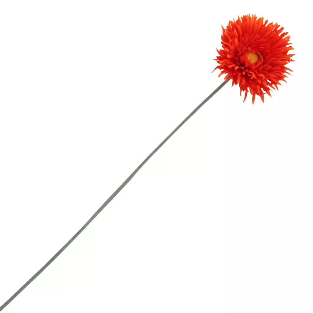 Best Pirce ✨ 12 Pack: Orange Spider Gerbera Daisy Spray by Ashland® ✔️ 5 Best Pirce ✨ 12 Pack: Orange Spider Gerbera Daisy Spray by Ashland® ✔️ - Image 3