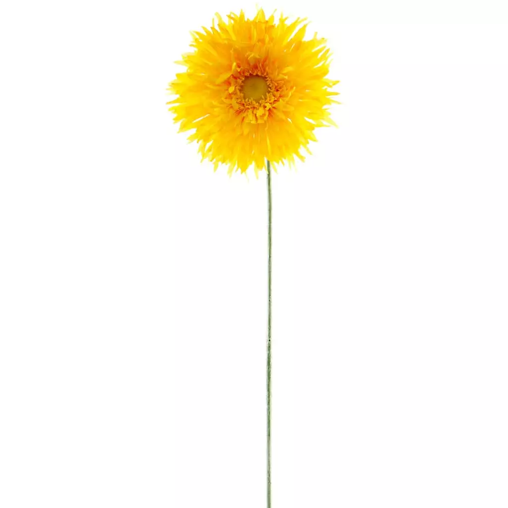 Deals ⌛ 12 Pack: Yellow Spider Gerber Daisy Stem by Ashland® ✨ 3 Deals ⌛ 12 Pack: Yellow Spider Gerber Daisy Stem by Ashland® ✨