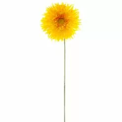 Buy ๐ Jumbo Spider Gerber Daisy Stem by Ashland® ๐ 9 Buy ๐ Jumbo Spider Gerber Daisy Stem by Ashland® ๐ -Ashland Online Store 10392672