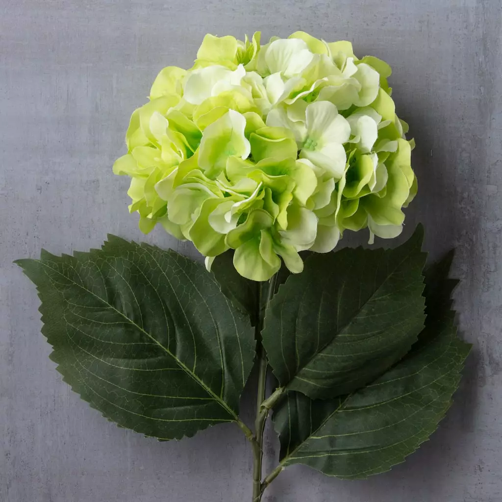 Outlet ๐ Garden Blooms Hydrangea Stem by Ashland® โ๏ธ 4 Outlet ๐ Garden Blooms Hydrangea Stem by Ashland® โ๏ธ - Image 2