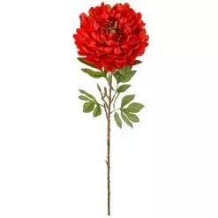 Budget ⭐ 12 Pack: Red Peony Stem by Ashland® 🧨