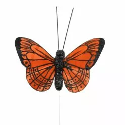 Best reviews of ⭐ Bright Butterflies by Ashland® 🎉 -Ashland Online Store 10407687 3