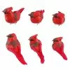 Budget 🔔 Red Cardinal Set by Ashland® 🎉 -Ashland Online Store 10407691 1