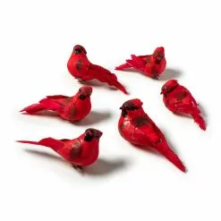 Budget 🔔 Red Cardinal Set by Ashland® 🎉 -Ashland Online Store 10407691 21