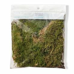 Deals ๐ฅฐ Forest Green Preserved Moss by Ashland® ๐คฉ