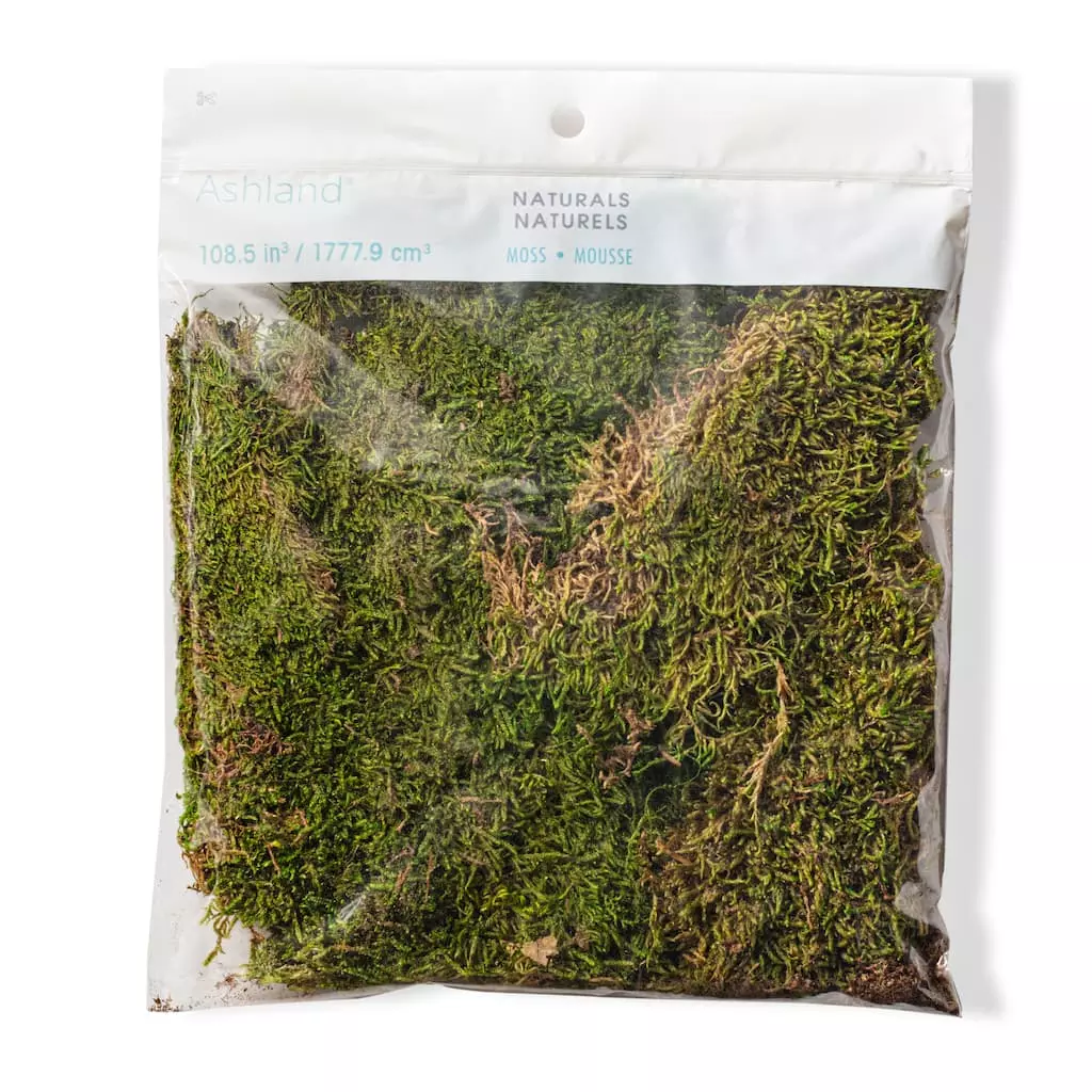 Deals 🥰 Forest Green Preserved Moss by Ashland® 🤩 3 Deals 🥰 Forest Green Preserved Moss by Ashland® 🤩