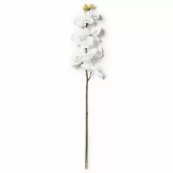 Brand new ✔️ Phaleanopsis Orchid by Ashland® 😍 -Ashland Online Store 10413038 21
