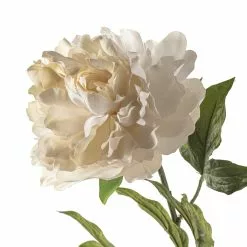 Cheap โค๏ธ White Peony Spray by Ashland® Classic Traditions™ ๐ 8 Cheap โค๏ธ White Peony Spray by Ashland® Classic Traditions™ ๐ -Ashland Online Store 10430216 20
