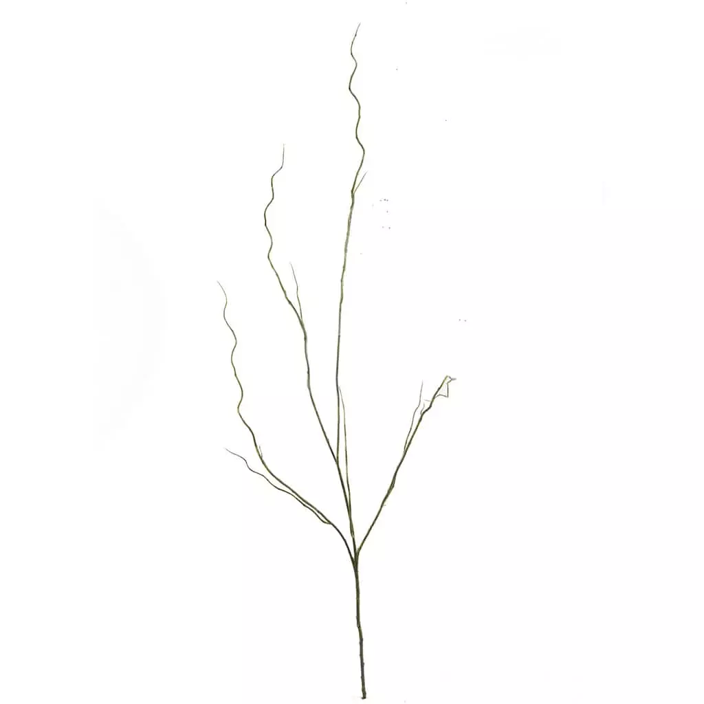 Budget ๐ 12 Pack: Green & Yellow Twig Branch by Ashland® ๐ 4 Budget ๐ 12 Pack: Green & Yellow Twig Branch by Ashland® ๐ - Image 2