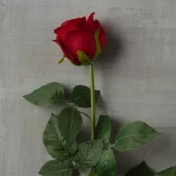 Hot Sale 🌟 Dutch Rose Spray by Ashland® 😍 -Ashland Online Store 10430282 25