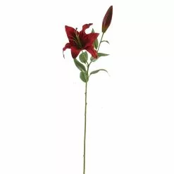 Wholesale 🥰 12 Pack: Red Casablanca Lily Stem by Ashland® 😍