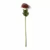 Cheap 🔥 Red Pincushion Protea Spray by Ashland® ✔️ -Ashland Online Store 10430478 21