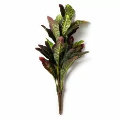 Budget 🔥 Croton Bush Classic Greenery by Ashland® ⭐ -Ashland Online Store 10430898 21