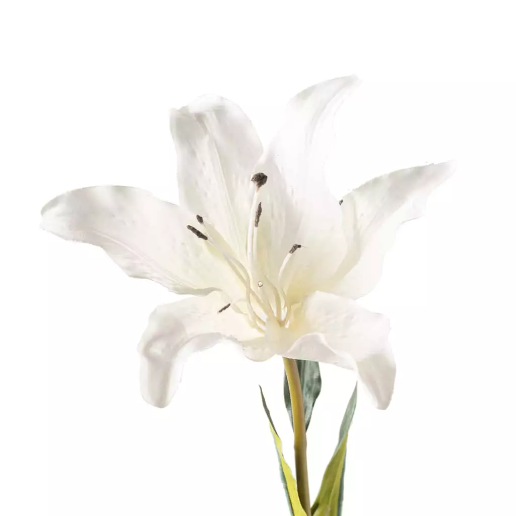 Coupon 🧨 White Lily Stem by Ashland Classic Traditions™ ✨ 5 Coupon 🧨 White Lily Stem by Ashland Classic Traditions™ ✨ - Image 3