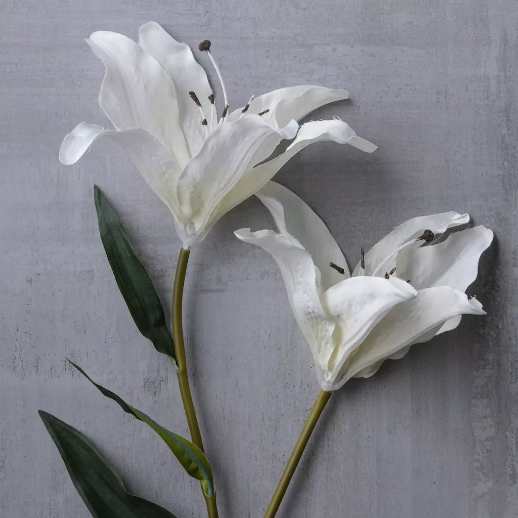 Coupon 🧨 White Lily Stem by Ashland Classic Traditions™ ✨ 4 Coupon 🧨 White Lily Stem by Ashland Classic Traditions™ ✨ - Image 2