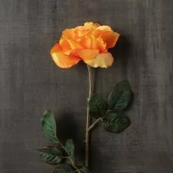 Best Pirce ๐ Salmon Rose Stem by Ashland® โ 7 Best Pirce ๐ Salmon Rose Stem by Ashland® โ -Ashland Online Store 10450088 25