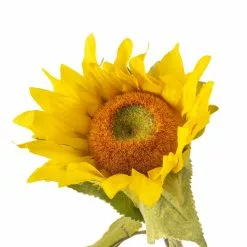 Flash Sale ❤️ Sunflower Stem by Ashland® 🛒 7 Flash Sale ❤️ Sunflower Stem by Ashland® 🛒 -Ashland Online Store 10450424 20