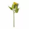Flash Sale ❤️ Sunflower Stem by Ashland® 🛒 -Ashland Online Store 10450424 21