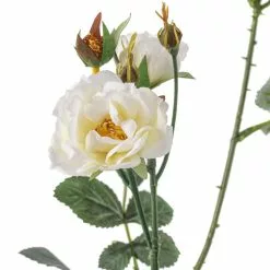 Best deal 🥰 Cream Kate Rose Stem by Ashland® 🥰 -Ashland Online Store 10451129 20