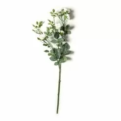 Best deal 🥰 Cream Kate Rose Stem by Ashland® 🥰