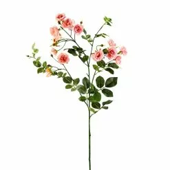 Budget 🛒 12 Pack: Pink Kate Rose Spray by Ashland® ⌛