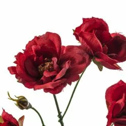 Best deal ⌛ Kate Rose Spray by Ashland® ⭐ 9 Best deal ⌛ Kate Rose Spray by Ashland® ⭐ -Ashland Online Store 10451131 20