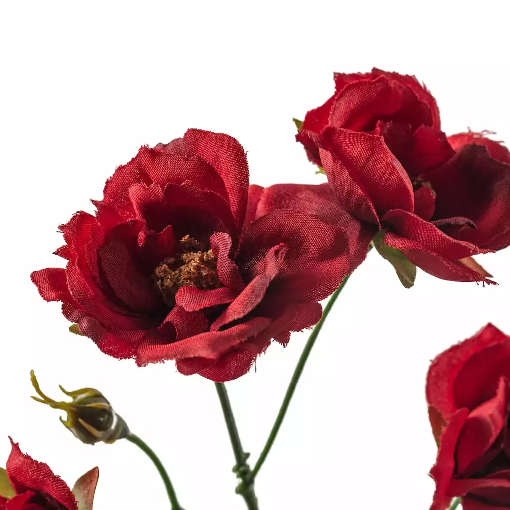 Best deal ⌛ Kate Rose Spray by Ashland® ⭐ 6 Best deal ⌛ Kate Rose Spray by Ashland® ⭐ - Image 4