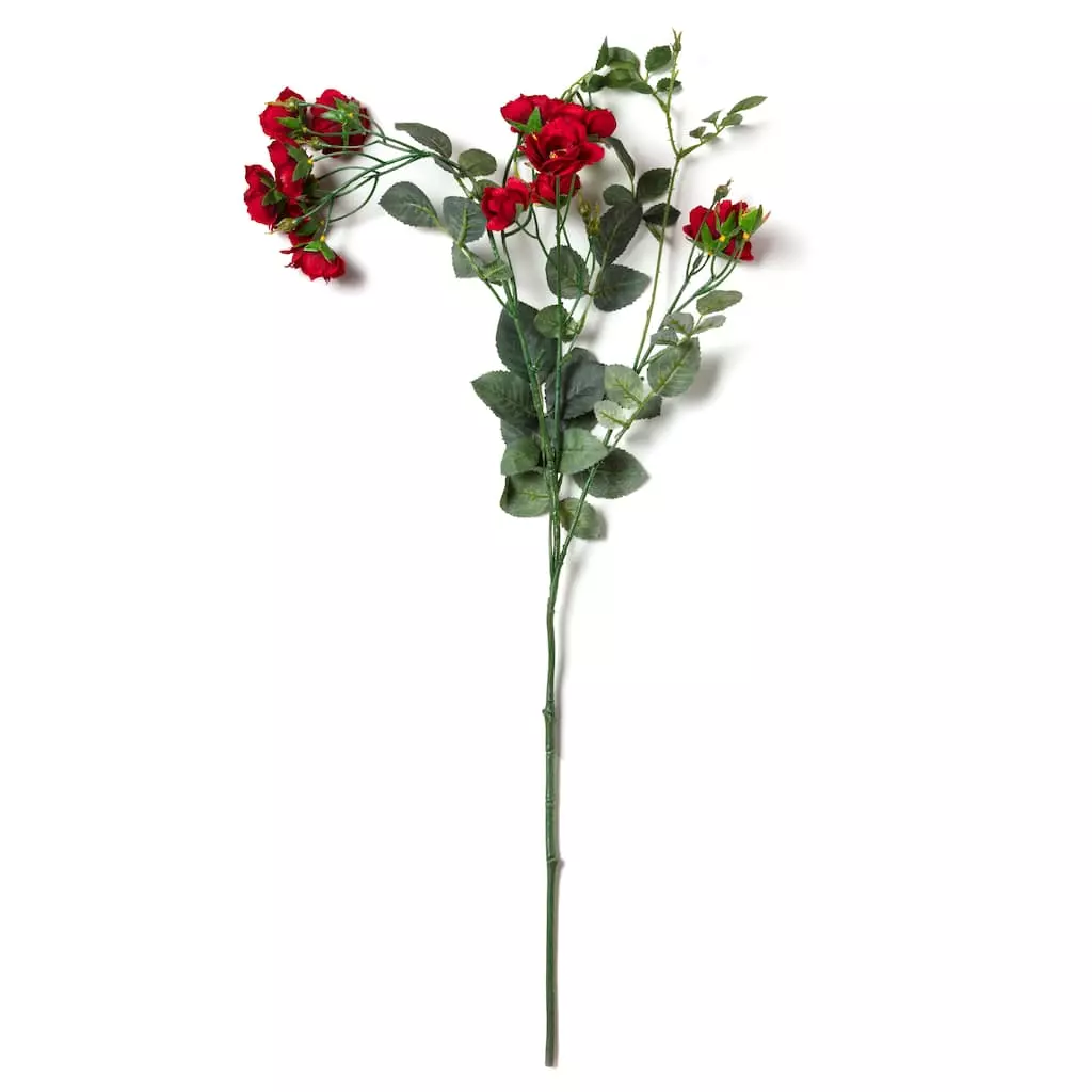 Best deal ⌛ Kate Rose Spray by Ashland® ⭐ 5 Best deal ⌛ Kate Rose Spray by Ashland® ⭐ - Image 3