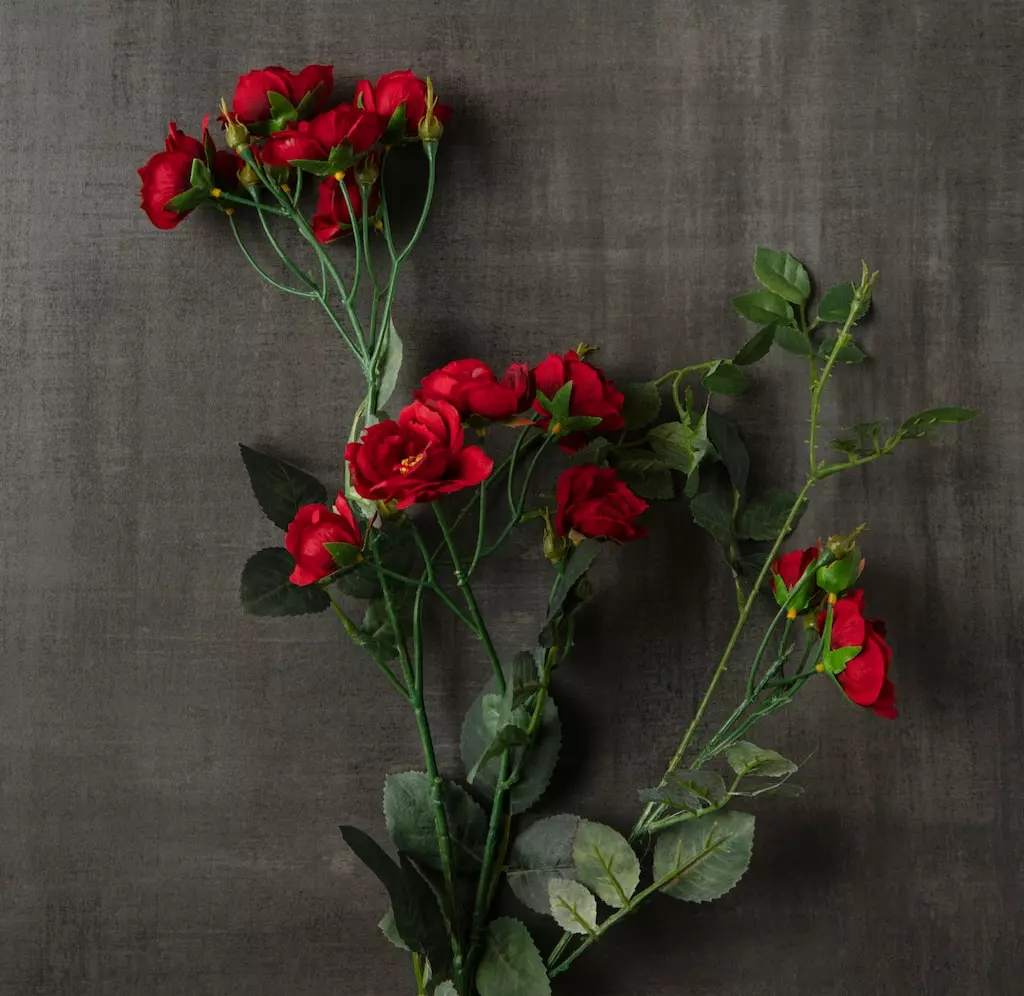 Best deal ⌛ Kate Rose Spray by Ashland® ⭐ 4 Best deal ⌛ Kate Rose Spray by Ashland® ⭐ - Image 2