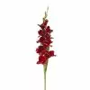 Hot Sale 👏 12 Pack: Burgundy Gladiolus Stem by Ashland® ✨