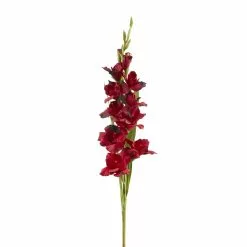 Cheapest 🛒 Gladiolus Stem by Ashland® ✨ -Ashland Online Store 10451146