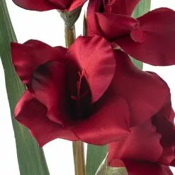 Cheapest 🛒 Gladiolus Stem by Ashland® ✨ -Ashland Online Store 10451146 20
