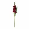 Cheapest 🛒 Gladiolus Stem by Ashland® ✨ -Ashland Online Store 10451146 21