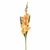New ❤️ 12 Pack: Salmon Gladiolus Stem by Ashland® ✨ -Ashland Online Store 10451152
