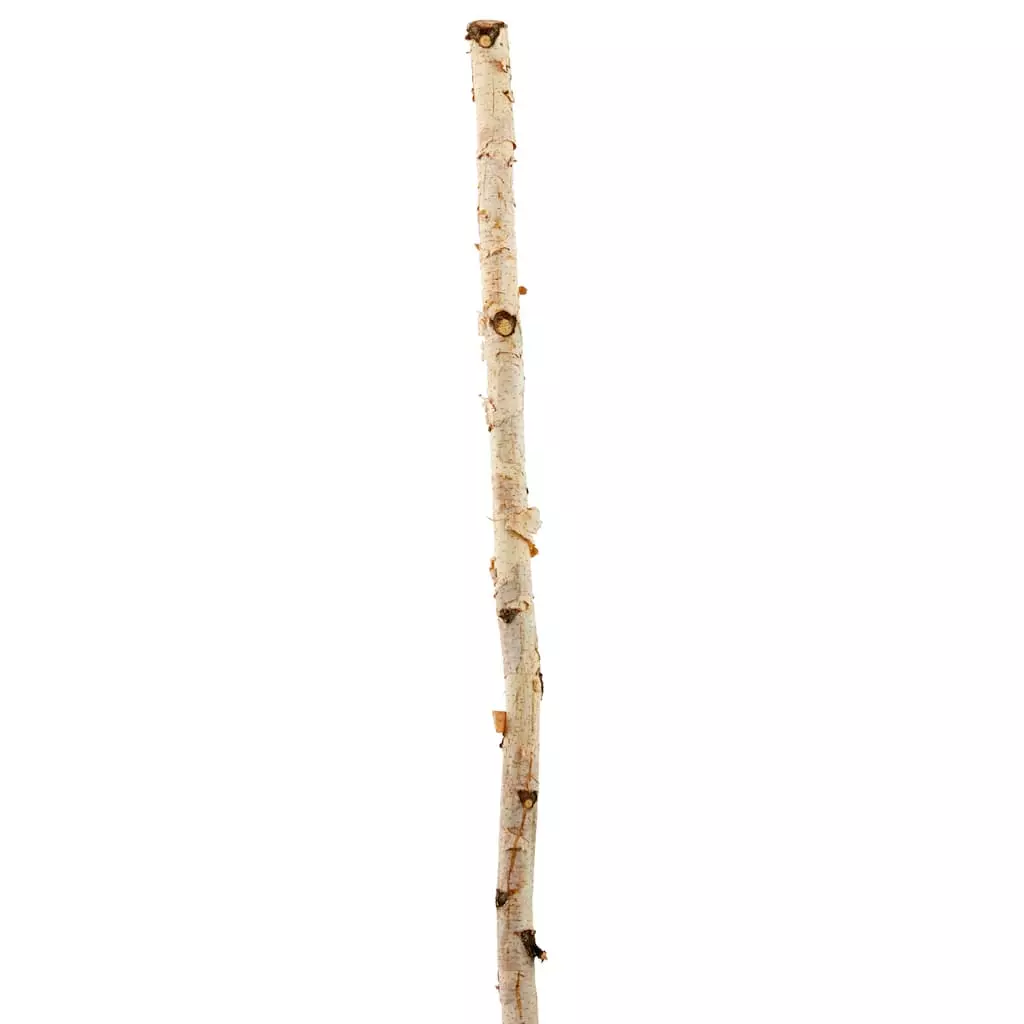 Cheapest ๐คฉ Ashland® Natural River Birch โ๏ธ 3 Cheapest ๐คฉ Ashland® Natural River Birch โ๏ธ