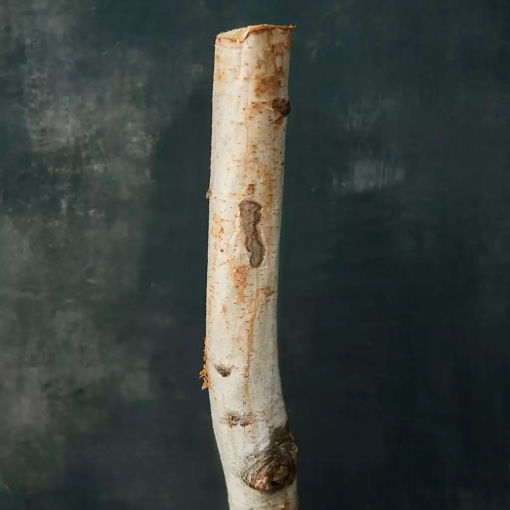 Cheapest ๐คฉ Ashland® Natural River Birch โ๏ธ 4 Cheapest ๐คฉ Ashland® Natural River Birch โ๏ธ - Image 2