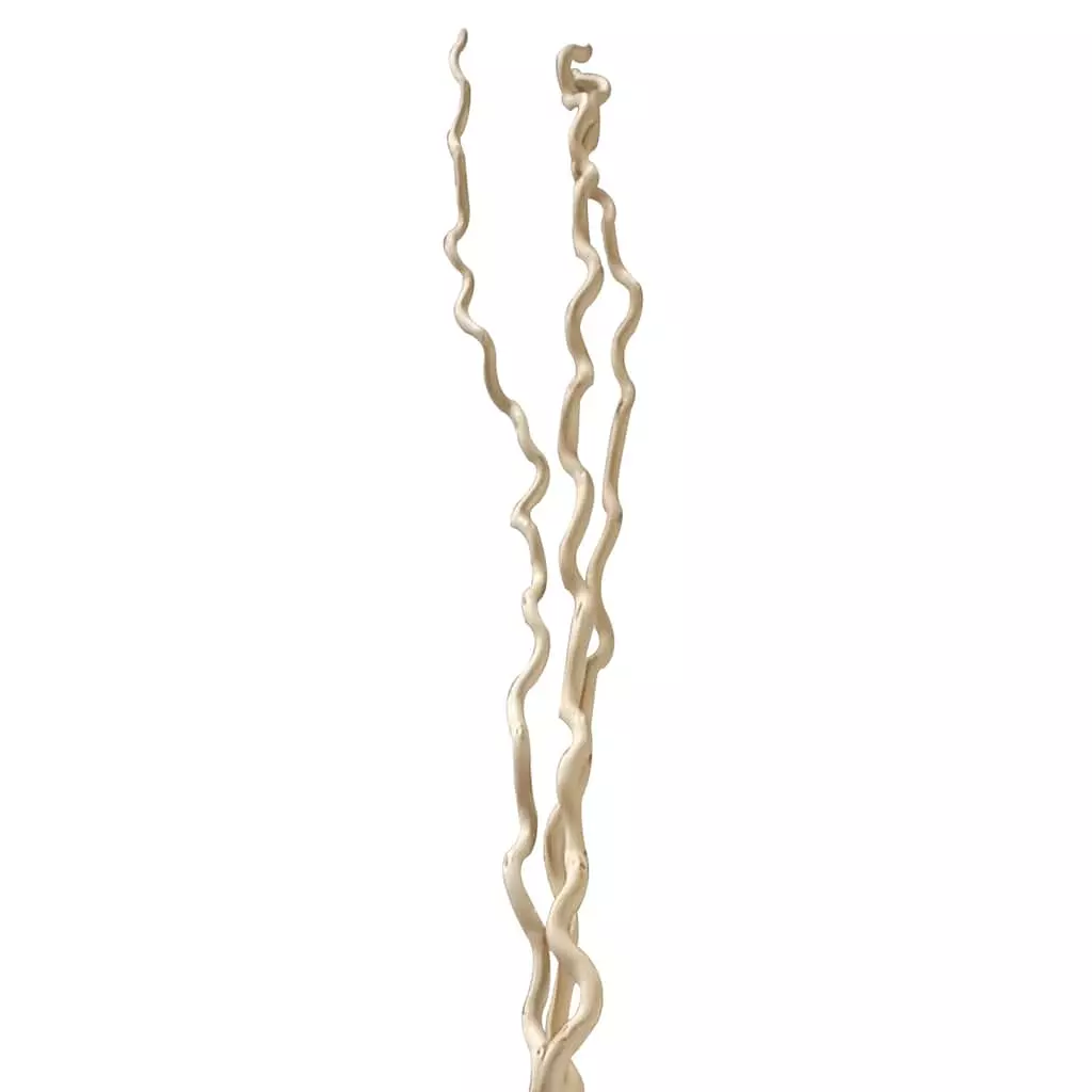 New ๐ Cream Curly Willow Branch Bundle by Ashland® โ 3 New ๐ Cream Curly Willow Branch Bundle by Ashland® โ