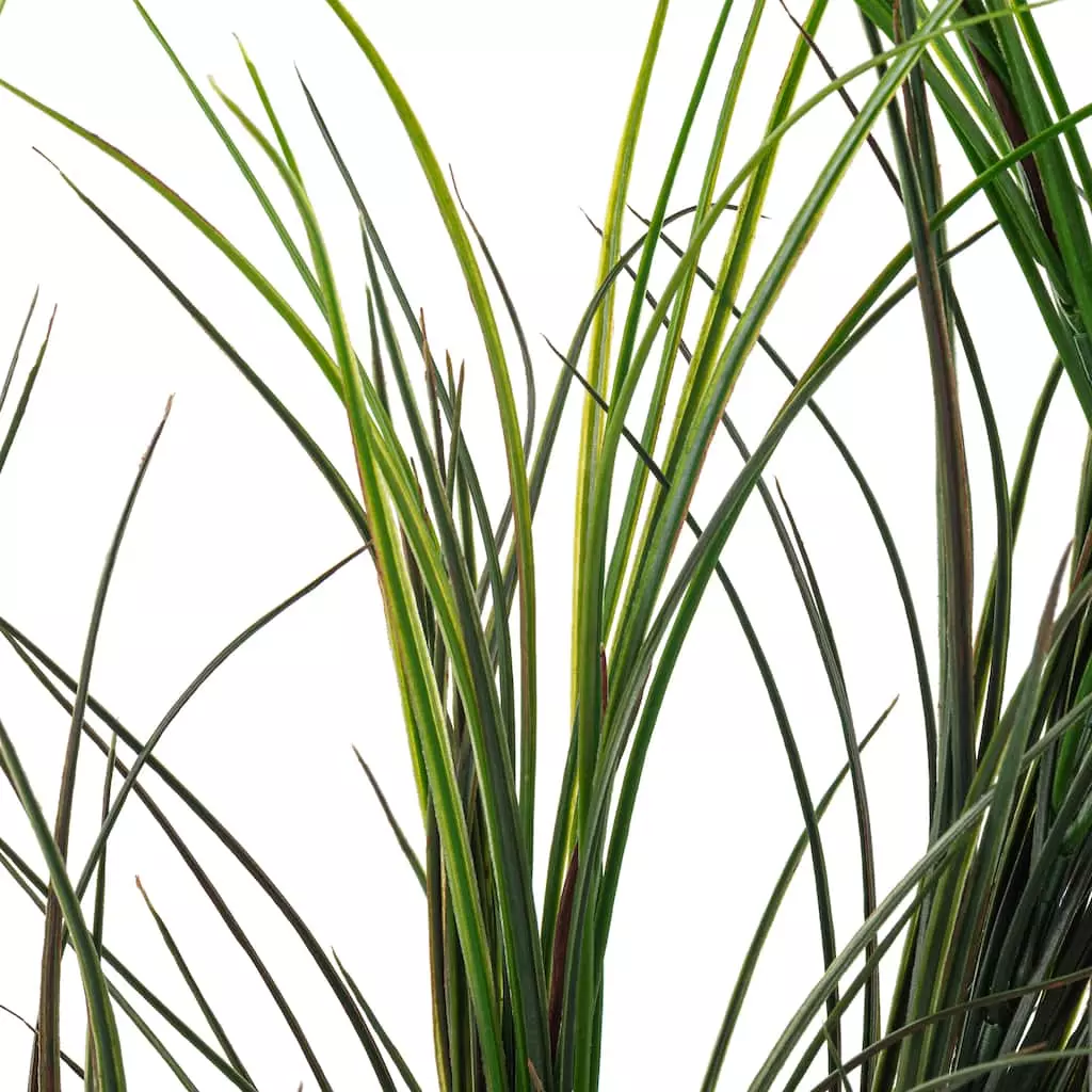 Best deal ๐ Assorted Green Grass Bush by Ashland® ๐ 6 Best deal ๐ Assorted Green Grass Bush by Ashland® ๐ - Image 4