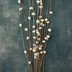 New 🎉 Natural Ting Bunches with Sola Flowers by Ashland 🛒 -Ashland Online Store 10454596 20