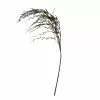 Best reviews of โ Green Weeping Willow Stem by Ashland® โ 1 Best reviews of โ Green Weeping Willow Stem by Ashland® โ -Ashland Online Store 10457806 1