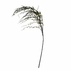 Best reviews of ⌛ Green Weeping Willow Stem by Ashland® ⌛