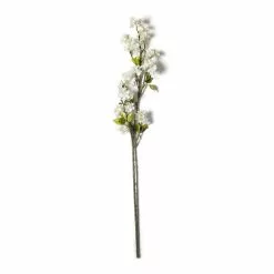 Top 10 ⌛ Cream Blossom Stem by Ashland® 🎁