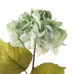 Top 10 ✨ Sea Foam Green Hydrangea Stem By Ashland® 🔥 -Ashland Online Store 10461200 20