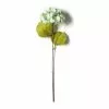 Top 10 ✨ Sea Foam Green Hydrangea Stem By Ashland® 🔥 -Ashland Online Store 10461200 21