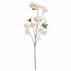 Best Pirce 🛒 Coral Blossom Stem by Ashland® 👍