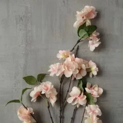 Best Pirce 🛒 Coral Blossom Stem by Ashland® 👍 -Ashland Online Store 10461601 25