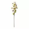 New ❤️ Blush Hops Stem by Ashland® 🔥 -Ashland Online Store 10461606 21