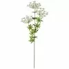 Flash Sale ✨ 12 Pack: White Queen Anne's Lace Spray by Ashland® ✨ -Ashland Online Store 10461649